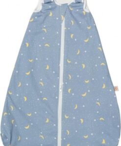 Ergobaby Baby Slaapzak On the Move Stellar 2.5 Tog - 18-36 maanden