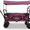 FUXTEC Bolderkar - opvouwbaar - Beach Cruiser - FX-CTB800 - paars
